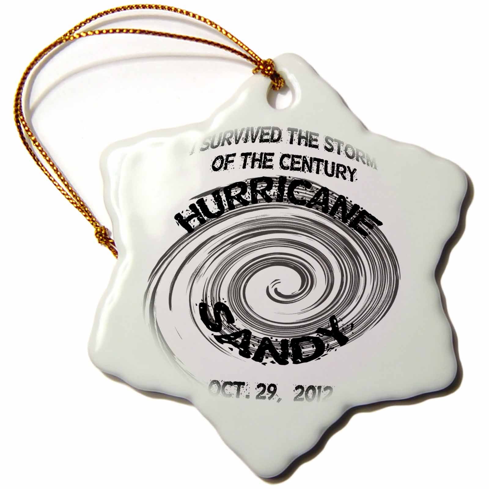 3dRose Sandy Mertens Natures Fury - I Survived Hurricane Sandy - Ornaments (ORN_76777)