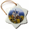 3dRose Danita Delimont - Castles - Neuschwanstein Castle, Bavaria, Germany - EU10 RER0071 - RIC Ergenbright - Ornaments (ORN_81792)