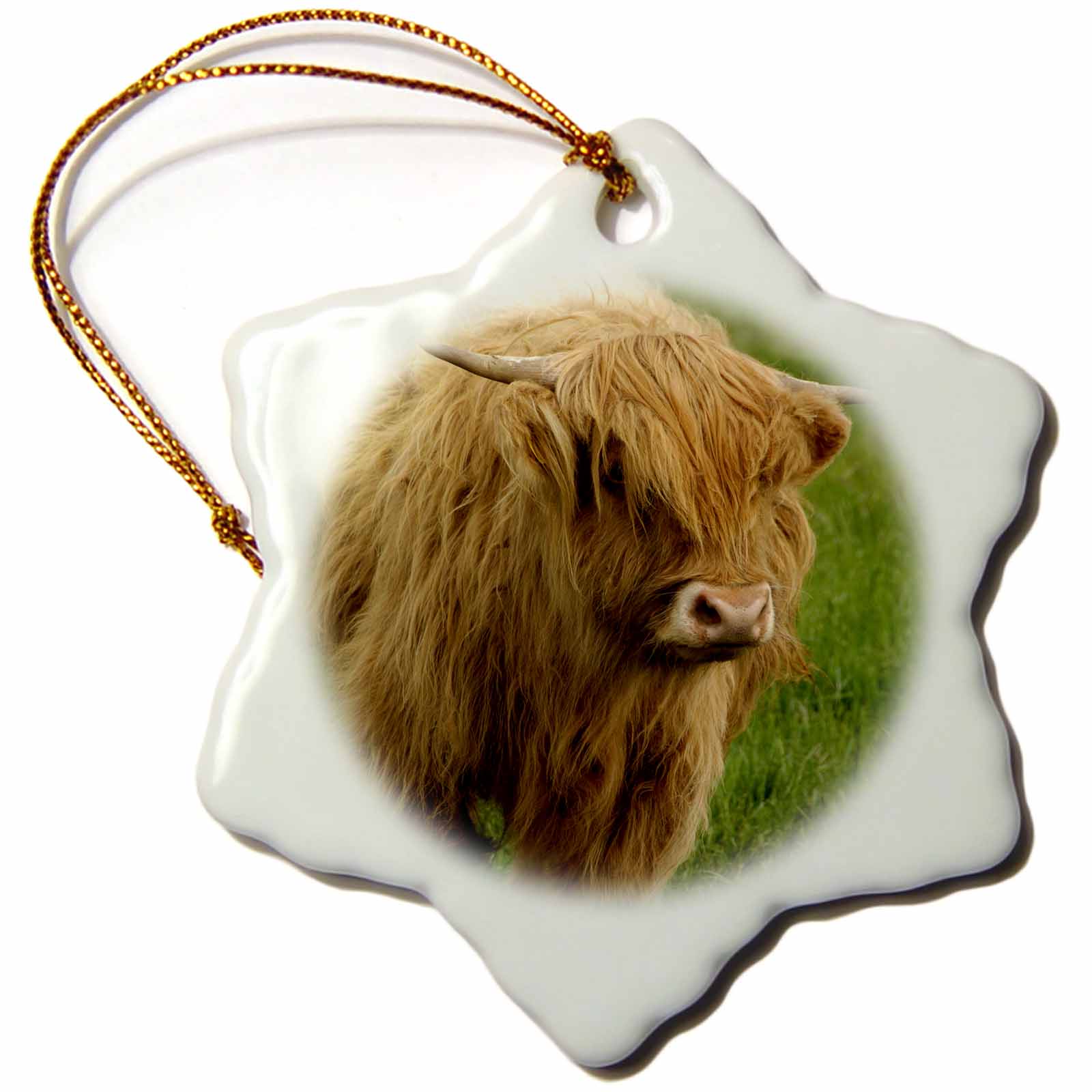 3dRose Danita Delimont - Farm Animals - Scotland, Highland Cow, Farm Animal - EU36 CMI0128 - Cindy Miller Hopkins - Ornaments (ORN_82799)