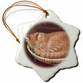 3dRose Danita Delimont - Cats - Orange Tabby cat Asleep in an Easter Basket - NA02 CSL0214 - Charles Sleicher - Ornaments (ORN_83708)