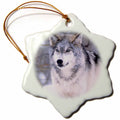 3dRose Danita Delimont - Wolves - Timber Wolf, Canis Lupus - NA02 DNO0319 - David Northcott - Ornaments (ORN_83899)