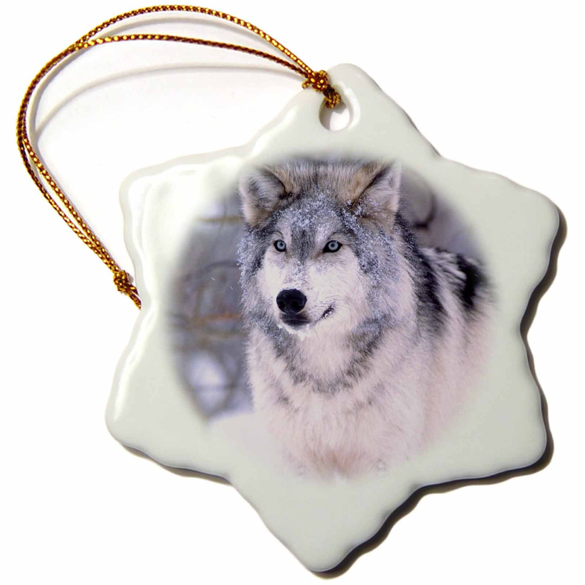 3dRose Danita Delimont - Wolves - Timber Wolf, Canis Lupus - NA02 DNO0319 - David Northcott - Ornaments (ORN_83899)
