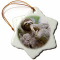 3dRose Danita Delimont - Wildlife - Brown-Throated Sloth Wildlife, Corcovado Costa Rica - SA22 JGS0021 - Jim Goldstein - Ornaments (ORN_87172)