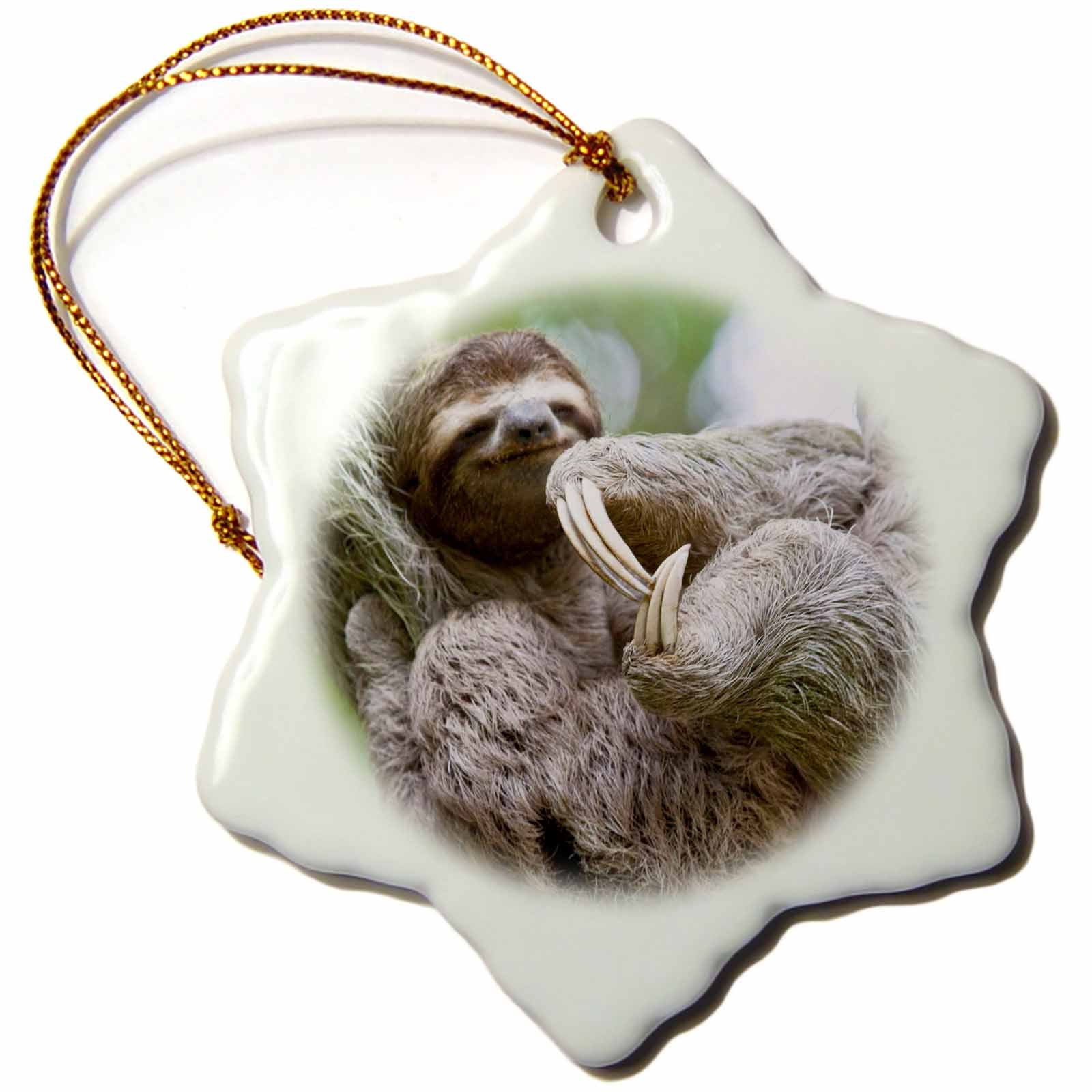 3dRose Danita Delimont - Wildlife - Brown-Throated Sloth Wildlife, Corcovado Costa Rica - SA22 JGS0021 - Jim Goldstein - Ornaments (ORN_87172)