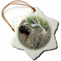 3dRose Danita Delimont - Wildlife - Three-Toed Sloth Wildlife, Corcovado NP, Costa Rica - SA22 KSC0137 - Kevin Schafer - Ornaments (ORN_87218)
