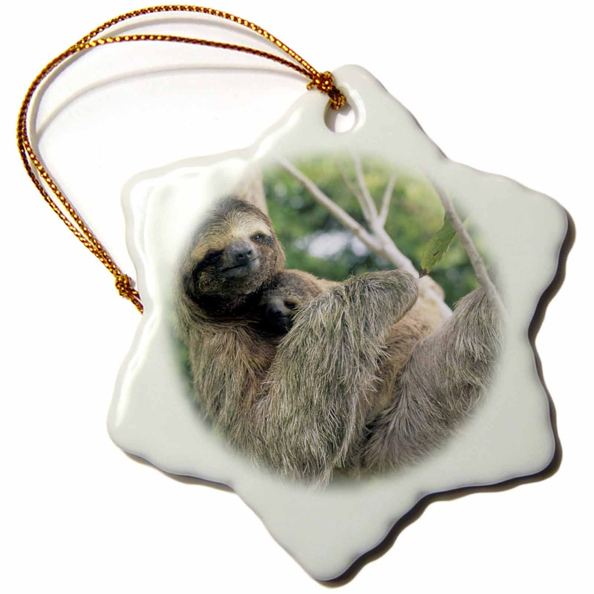 3dRose Danita Delimont - Wildlife - Three-Toed Sloth Wildlife, Corcovado NP, Costa Rica - SA22 KSC0137 - Kevin Schafer - Ornaments (ORN_87218)