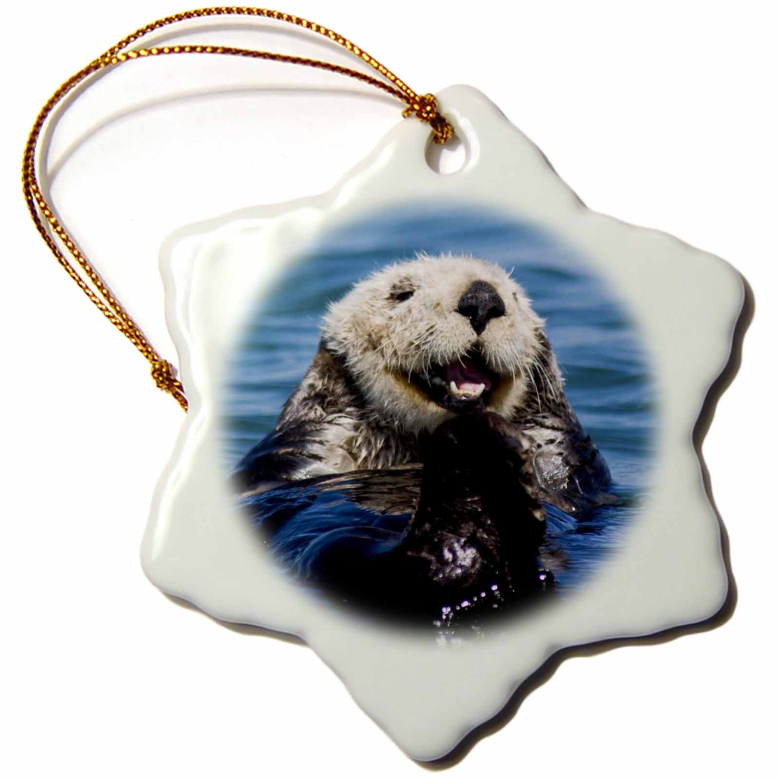 3dRose Danita Delimont - Otters - California Sea Otter, Moss Landing, California - US05 JGS0198 - Jim Goldstein - Ornaments (ORN_88466)