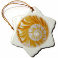 3dRose Danita Delimont - Natural Patterns - Natural Spiral Pattern in Seashell, Florida - US10 AJE0186 - Adam Jones - Ornaments (ORN_89003)