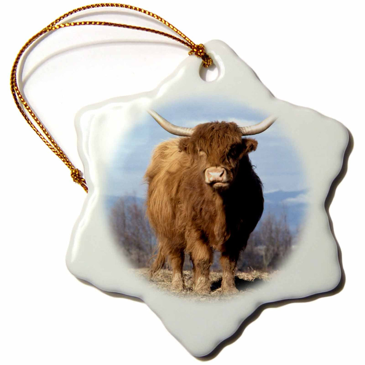 3dRose Danita Delimont - Cows - USA, Oregon, Multnomah County. Highland Cow - US38 BJA0154 - Jaynes Gallery - Ornaments (ORN_93472)