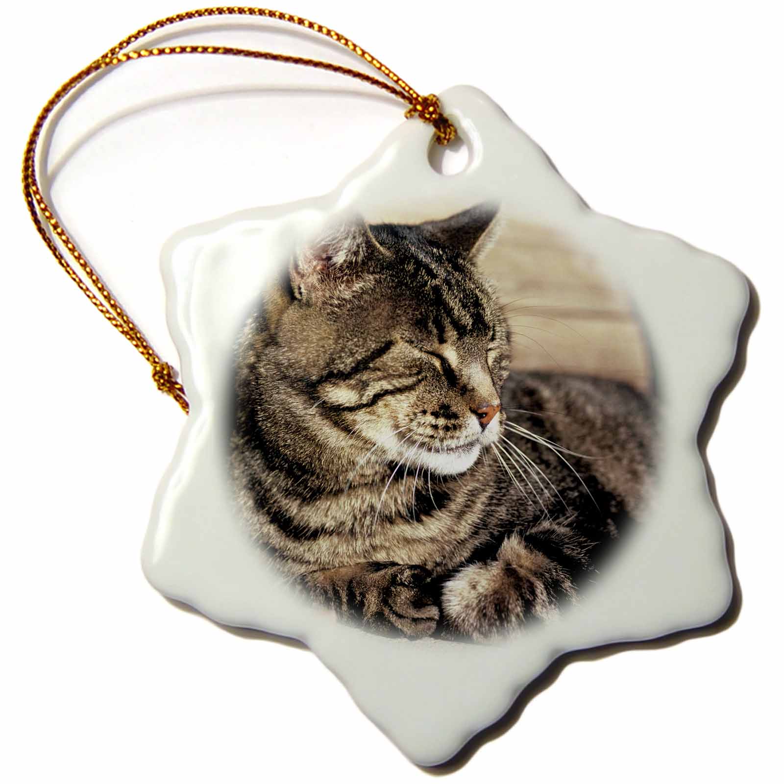 3dRose Danita Delimont - Cats - Utah, Capitol Reef NP. Sleeping Tabby cat - US45 RER0114 - RIC Ergenbright - Ornaments (ORN_94870)
