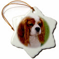 3dRose Dogs Cavalier King Charles Spaniel - Cavalier King Charles Spaniels - Ornaments (ORN_980)