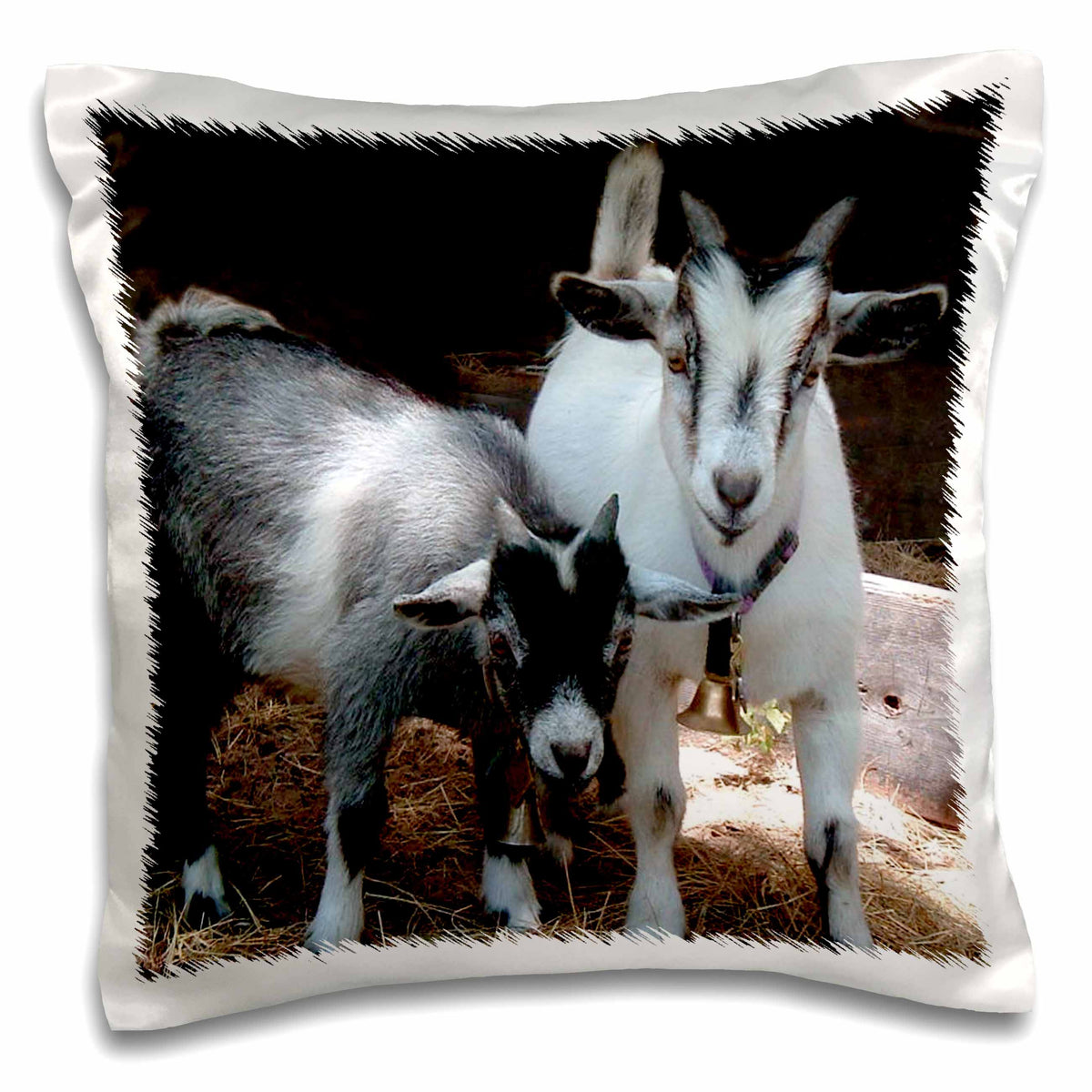 3dRose Farm Animals - Pygmy Goat - Pillow Cases (pc_1068)