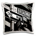 3dRose Signs - Broadway - Pillow Cases (pc_1193)