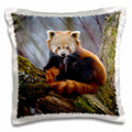 3dRose Danita Delimont - Bears - Red Panda bear, Himalayas, Asia - NA02 AMR0008 - Andres Morya Hinojosa - Pillow Cases (pc_140058)