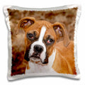 3dRose Danita Delimont - Dogs - Purebred Boxer dog - NA02 PWO0038 - PiperAnne Worcester - Pillow Cases (pc_140295)