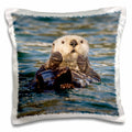 3dRose Danita Delimont - Otters - Sea Otter, Prince William Sound, Alaska, USA - US02 HRO0648 - Hugh Rose - Pillow Cases (pc_141914)