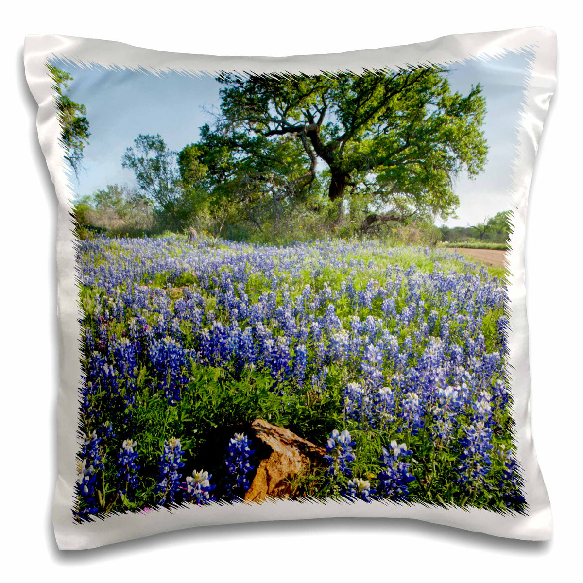 3dRose Danita Delimont - Flowers - Texas Bluebonnet flowers in bloom, central Texas, USA - US44 LDI0785 - Larry Ditto - Pillow Cases (pc_146910)