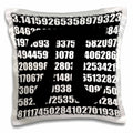 3dRose InspirationzStore Typography - Pi Symbol on Number. Math Mathematical Numeric Sign for Mathematicians - Pillow Cases (pc_164994)