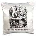 3dRose InspirationzStore Vintage Art - Who are you - Smoking Caterpillar quote from Alice in Wonderland - Pillow Cases (pc_193796)