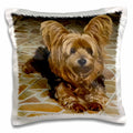 3dRose Simone Gatterwe Photo Animal - A cute Yorkshire terrier dog with a drawing effect - Pillow Cases (pc_201113)