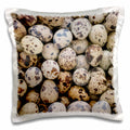 3dRose Danita Delimont - Produce - Quail eggs, Huaraz, Cordillera Blanca, Ancash, Peru. - Pillow Cases (pc_209400)