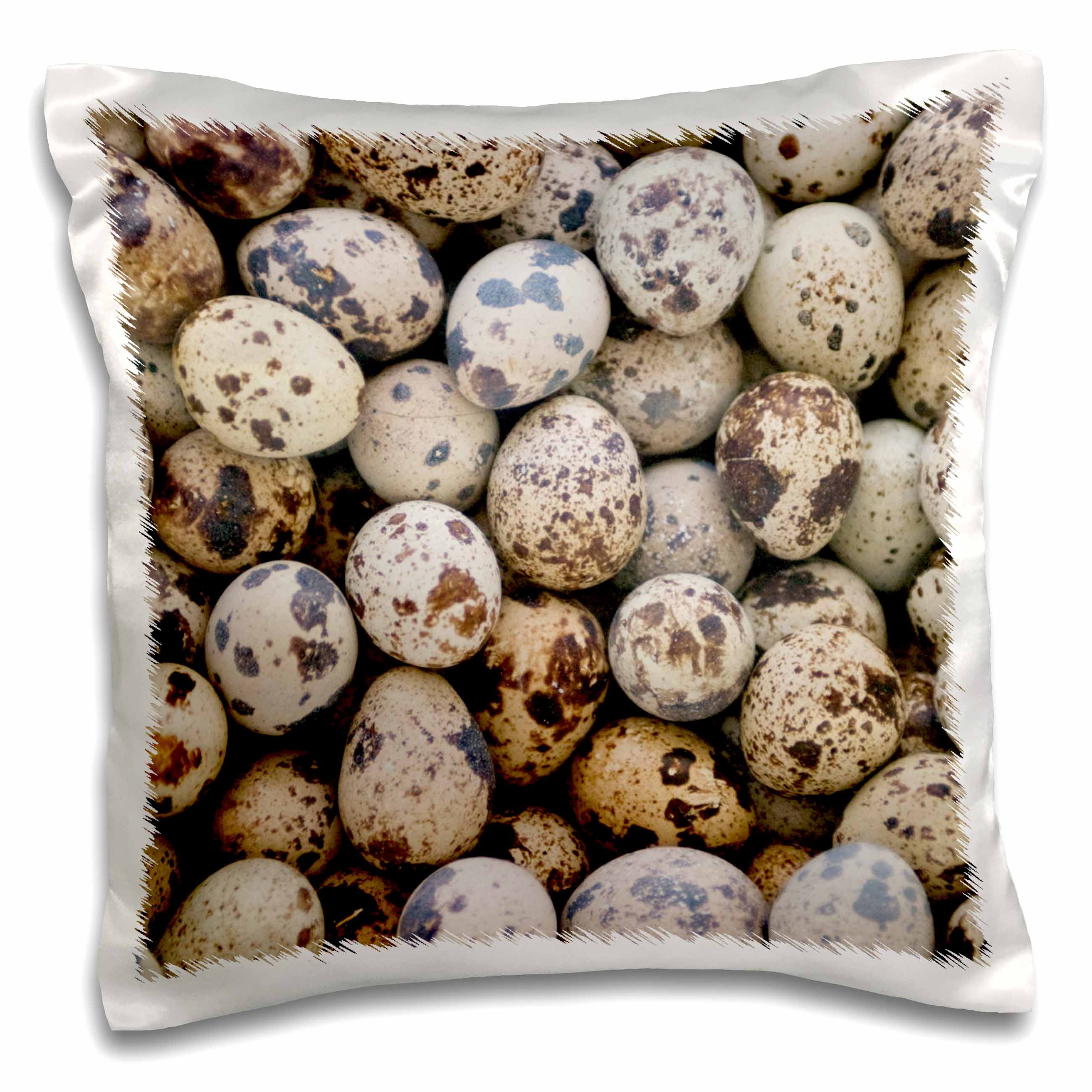 3dRose Danita Delimont - Produce - Quail eggs, Huaraz, Cordillera Blanca, Ancash, Peru. - Pillow Cases (pc_209400)