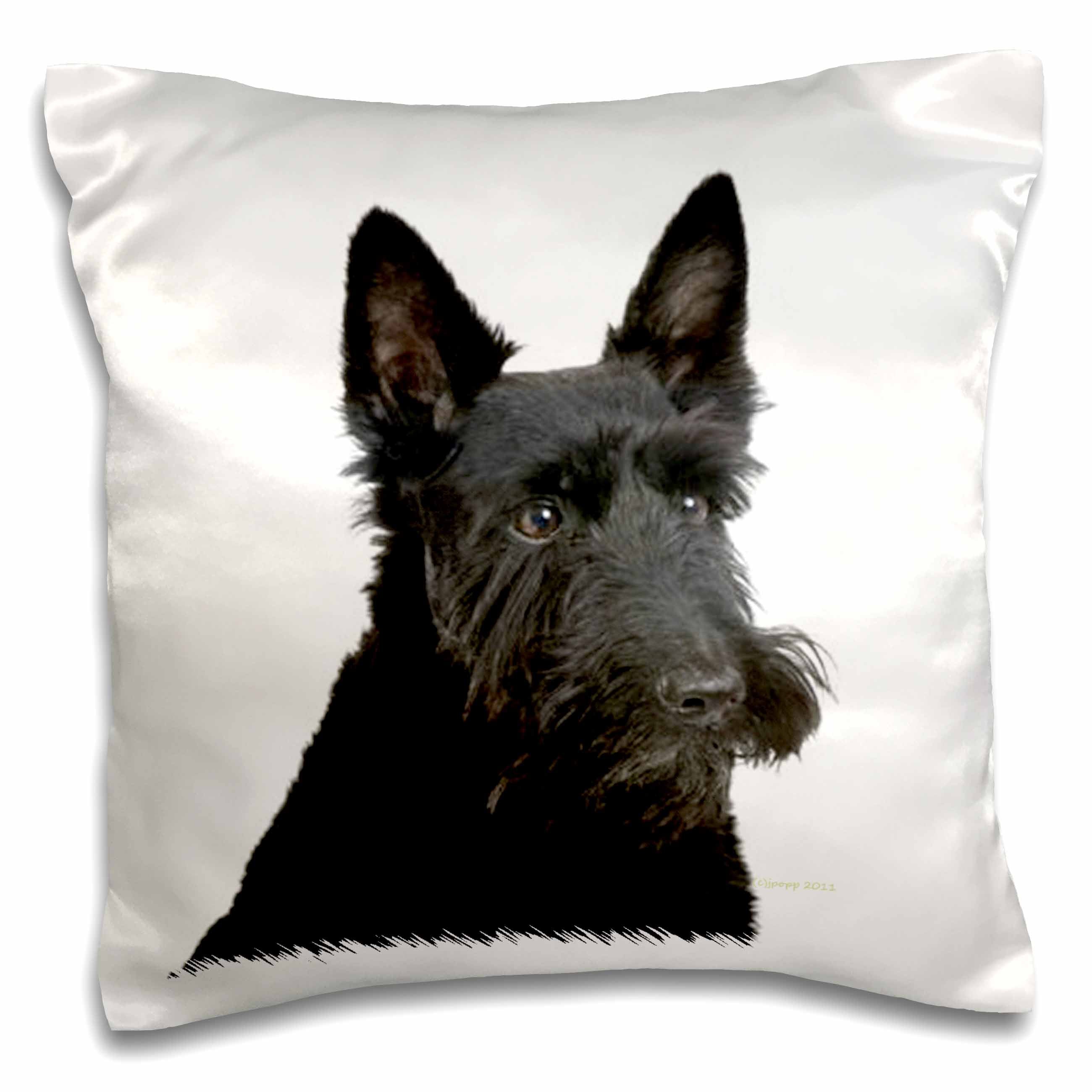 3dRose Jackie Popp Nature N Wildlife animals - Scottish terrier - Pillow Cases (pc_21045)