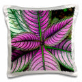 3dRose Danita Delimont - Leaves - Persian Shield Plant, Strobilanthes dyerianus, Costa Rica - Pillow Cases (pc_229307)