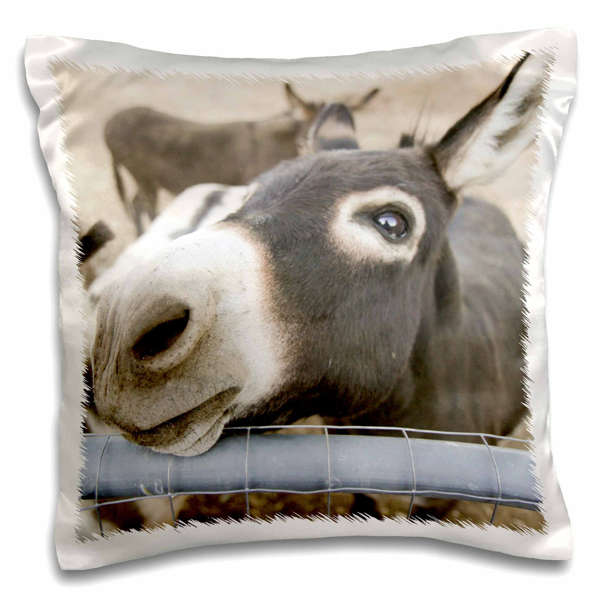 3dRose Danita Delimont - Animals - Miniature donkeys on a ranch in Northern California, USA - Pillow Cases (pc_230271)
