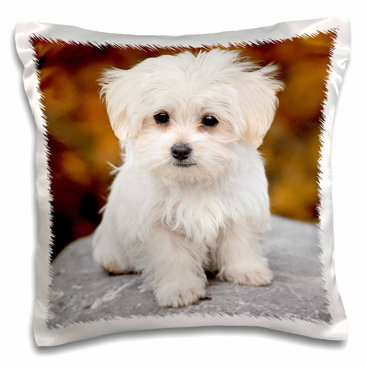 3dRose RinaPiro - Dogs - Maltese. Cute little puppy. - Pillow Cases (pc_233933)