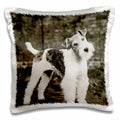3dRose Scenes from the Past Magic Lantern - Vintage Wire Hair Fox Terrier Dog Circa 1900 Edwardian Era - Pillow Cases (pc_246098)