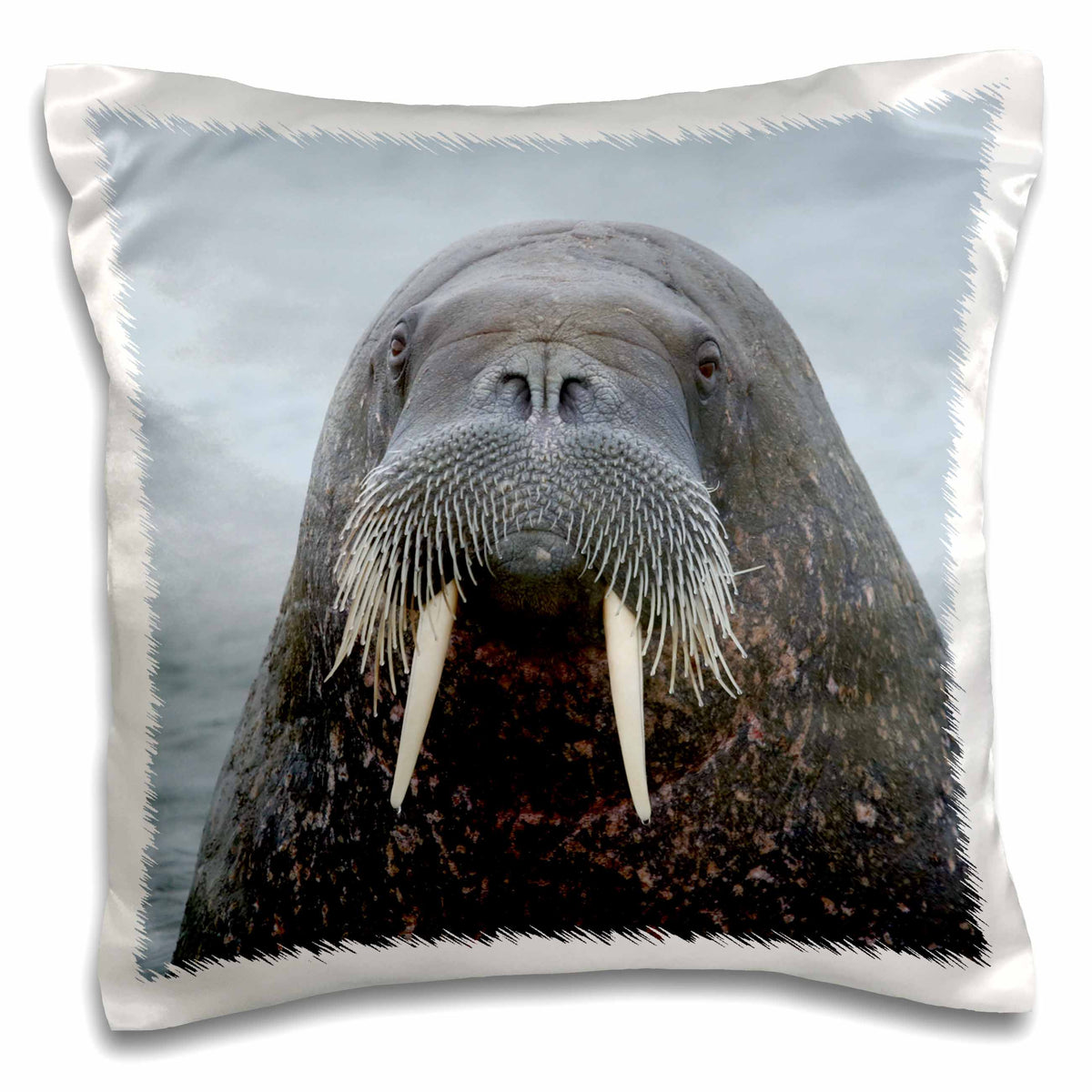 3dRose Danita Delimont - Svalbard - Svalbard, Nordaustlandet, Torellneset. Face of walrus in water. - Pillow Cases (pc_249345)