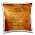 3dRose 777images Designs Graphic Design Bible Verse - The Lords Prayer Matthew 6 9 13 Prayer Hands and verse embossed on copper - Pillow Cases (pc_32545)