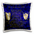 3dRose 777images Designs Graphic Design Bible Verse - Ephesians 6: 10, 14, 15; Put on full armor of God; breastplate, shield, swords - Pillow Cases (pc_40072)
