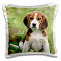 3dRose Dogs Beagle - Beagle Puppy - Pillow Cases (pc_4020)