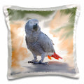 3dRose Birds - African Grey Parrot - Pillow Cases (pc_4030)