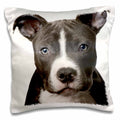 3dRose Dogs Pitbull - American Pit Bull Terrier Puppy - Pillow Cases (pc_4240)