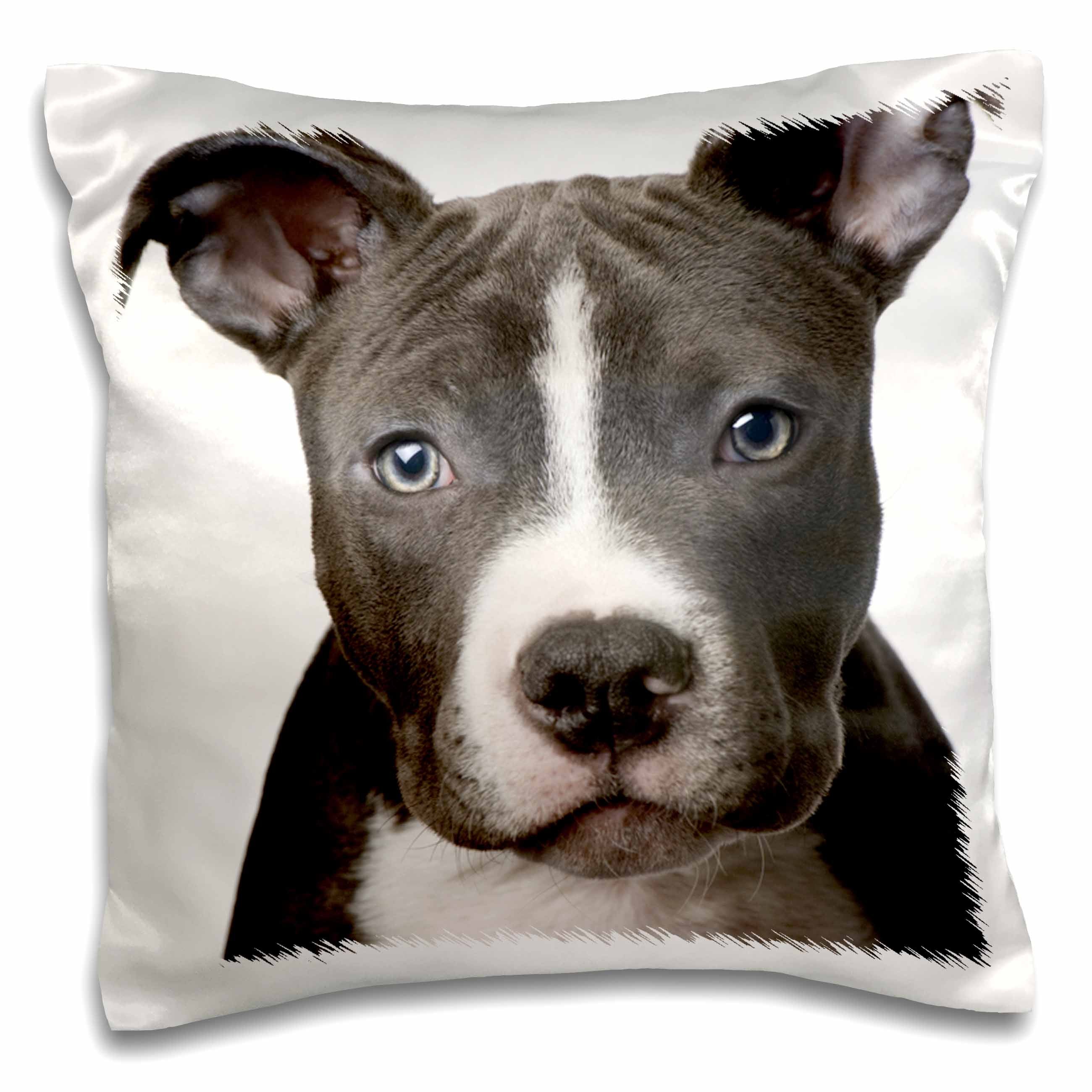 3dRose Dogs Pitbull - American Pit Bull Terrier Puppy - Pillow Cases (pc_4240)