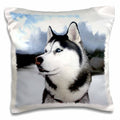 3dRose Dogs Siberian Husky - Siberian Husky - Pillow Cases (pc_4438)