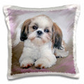 3dRose Dogs ShihTzu - Shih Tzu puppy - Pillow Cases (pc_4807)