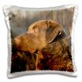 3dRose Dogs Chesapeake Bay Retriever - Chesapeake Bay Retriver Portrait - Pillow Cases (pc_5324)