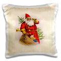 3dRose Florene Holiday Graphic - Illustration of African American Santa Claus - Pillow Cases (pc_62169)