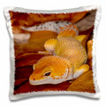 3dRose Danita Delimont - Lizards - Leopard Gecko morph, Lizard, Pakistan-AS28 AJE0000 - Adam Jones - Pillow Cases (pc_73099)