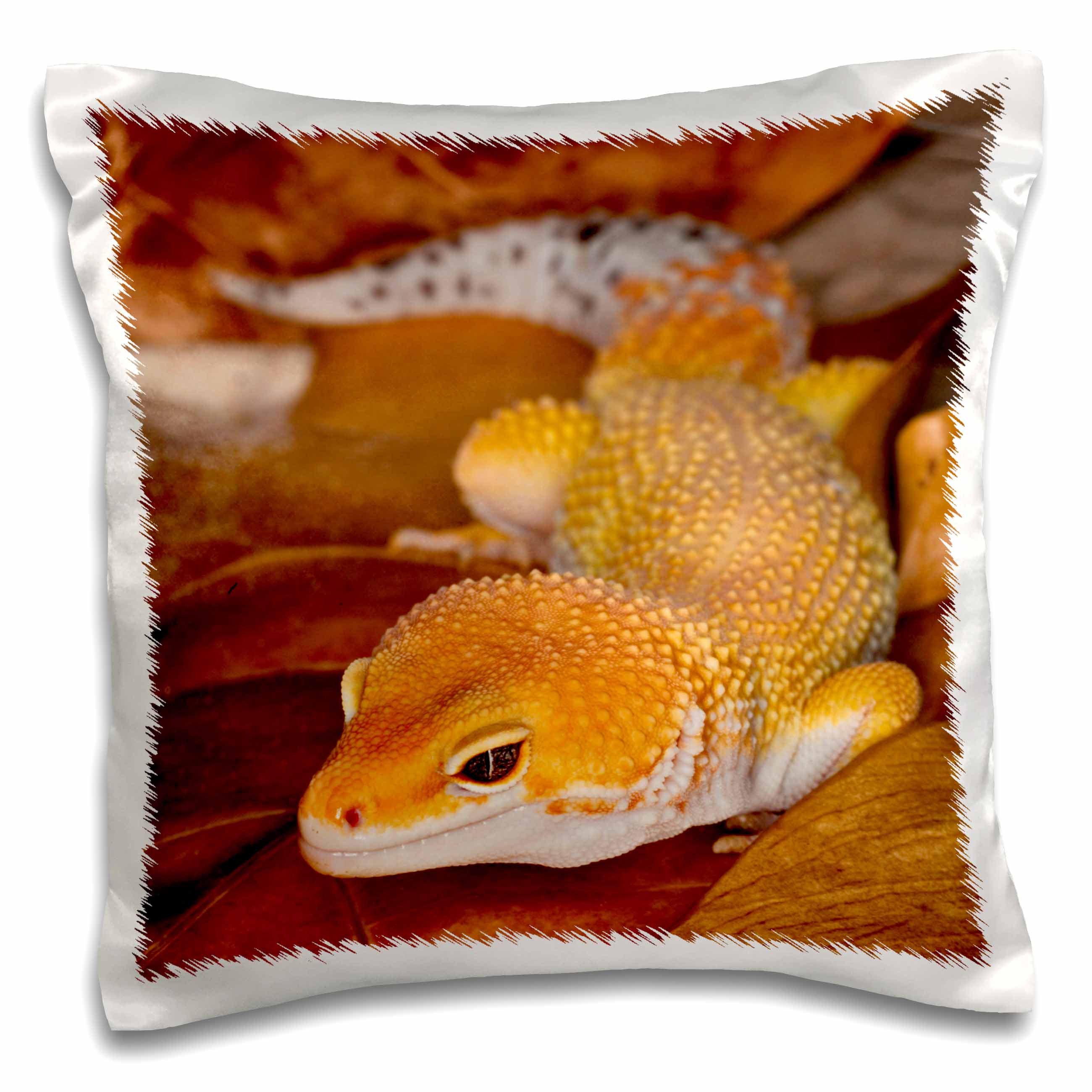 3dRose Danita Delimont - Lizards - Leopard Gecko morph, Lizard, Pakistan-AS28 AJE0000 - Adam Jones - Pillow Cases (pc_73099)
