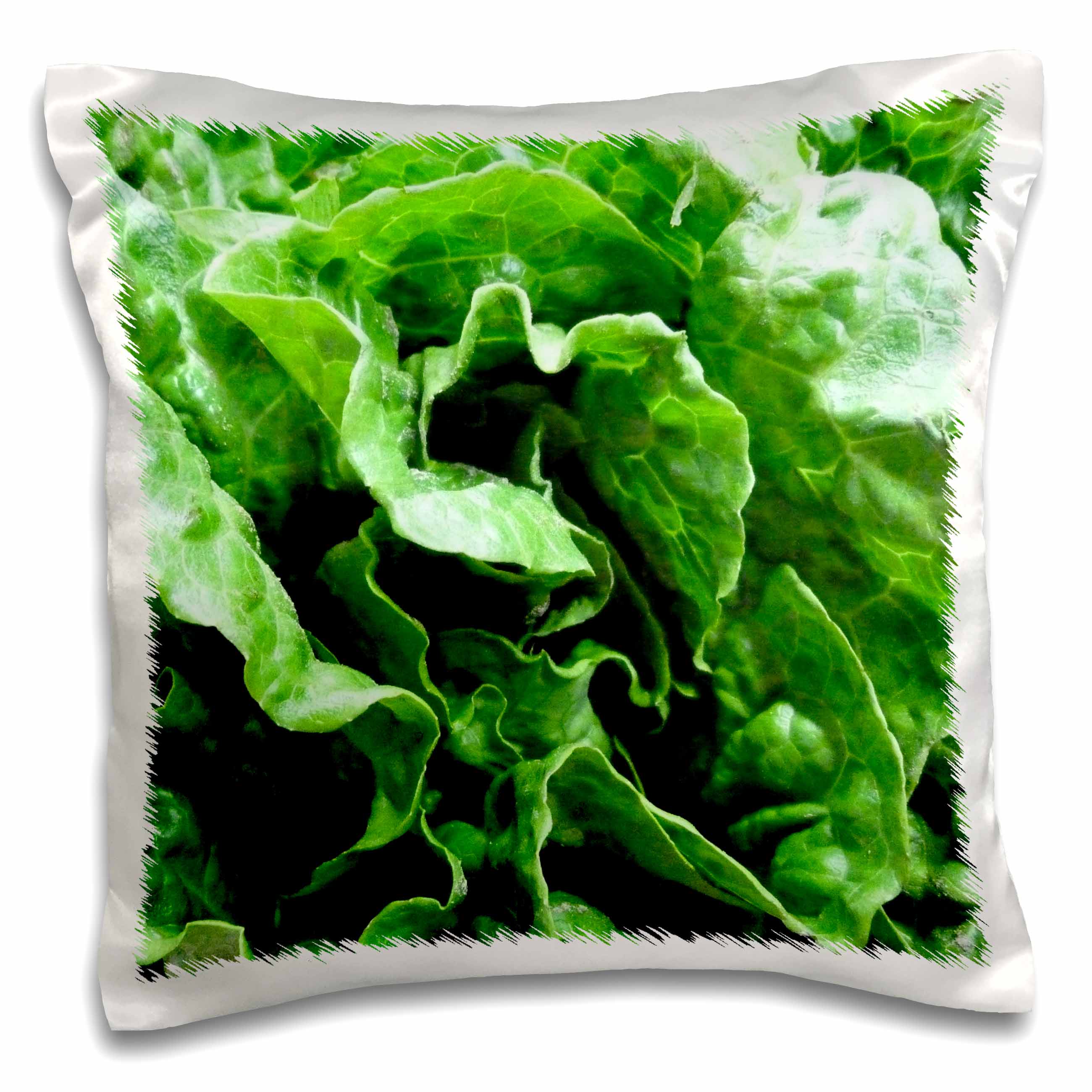 3dRose Florene Food And Beverage - Lettuce Be - Pillow Cases (pc_7854)