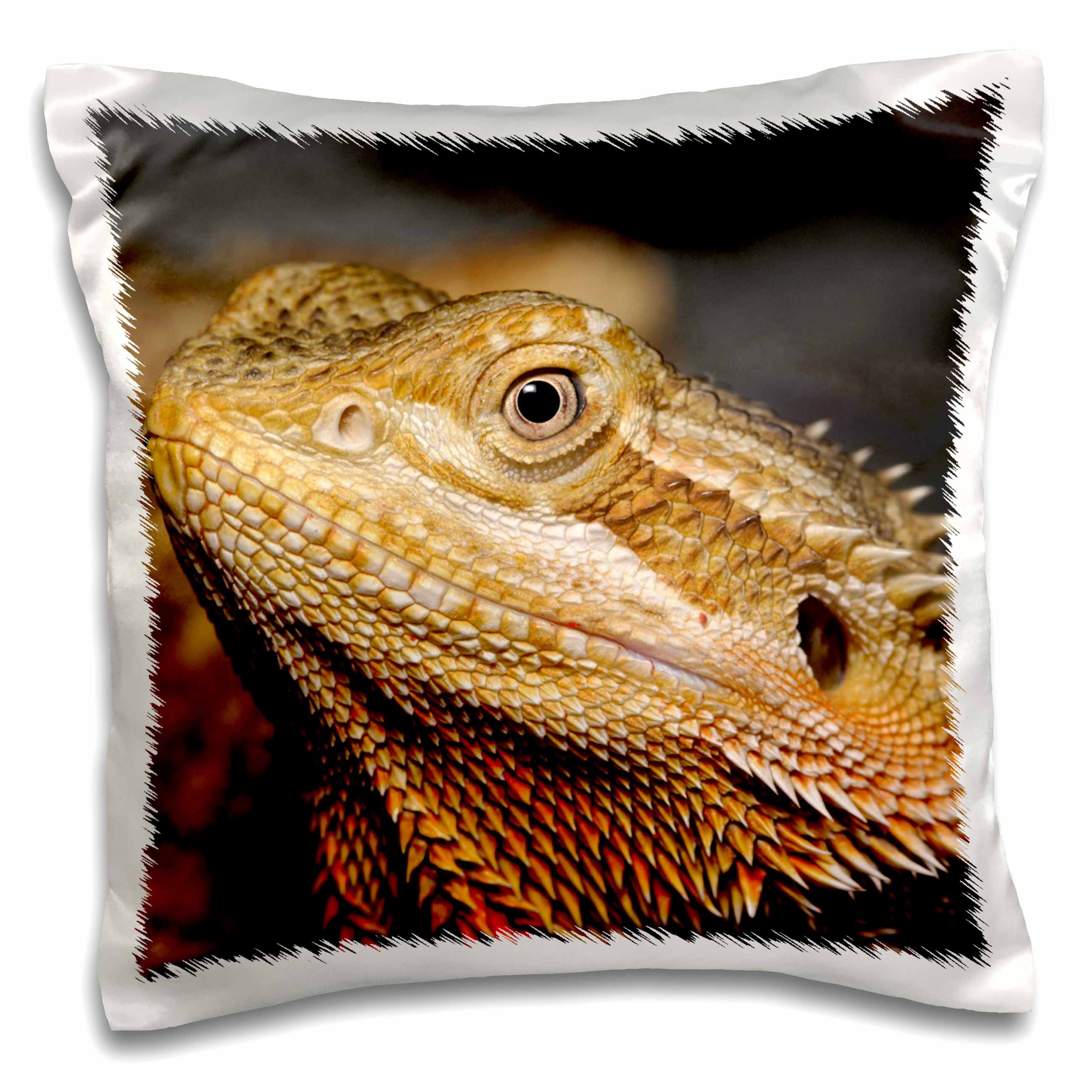 3dRose Danita Delimont - Lizards - Bearded Dragon, Pogona vitticeps, lizard, reptile - NA02 AJE0366 - Adam Jones - Pillow Cases (pc_83646)