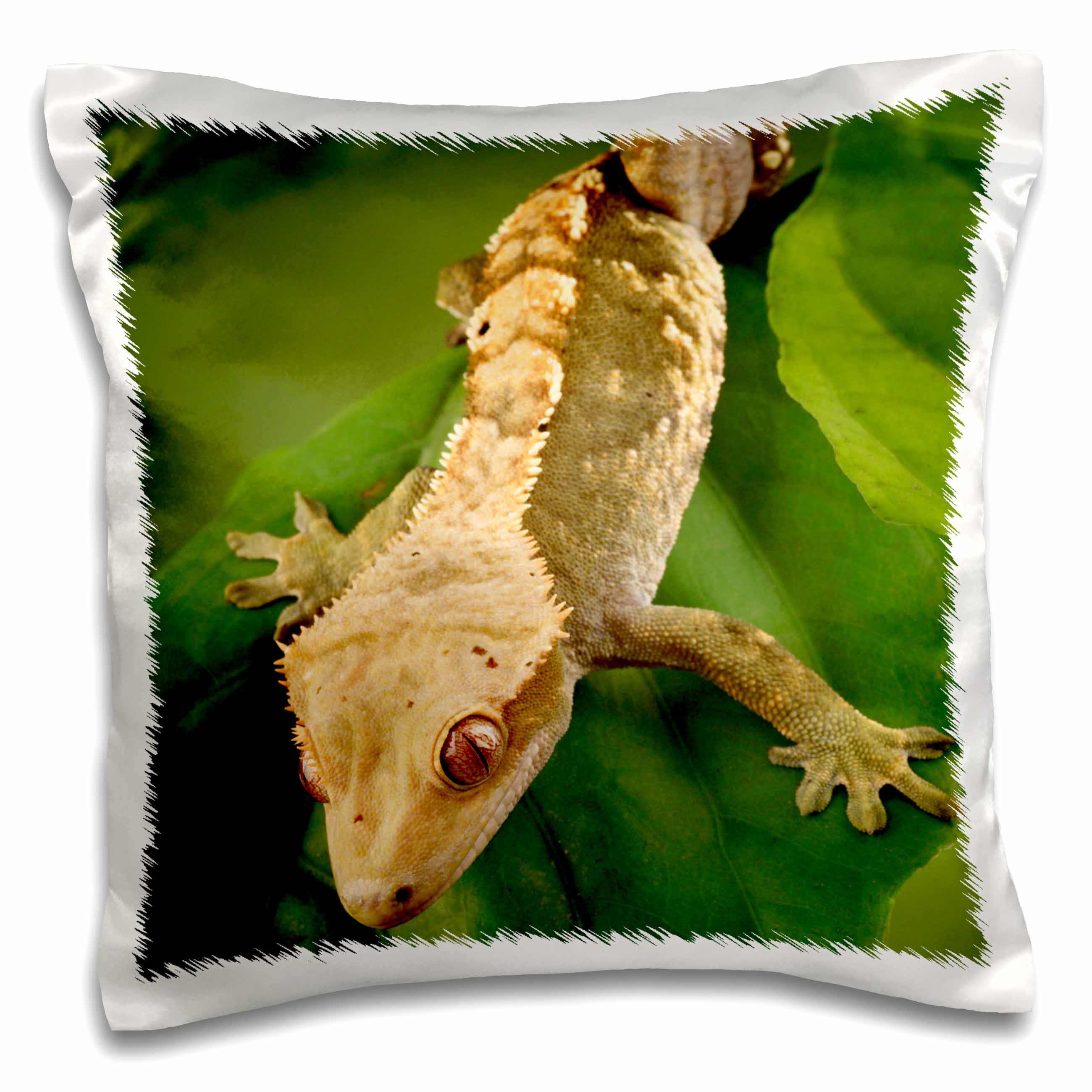 3dRose Danita Delimont - Lizards - New Caledonian Crested Gecko lizard - NA02 MPR0086 - Maresa Pryor - Pillow Cases (pc_84105)