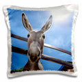 3dRose Kike Calvo Animals - Donkey in a farm - Pillow Cases (pc_9934)