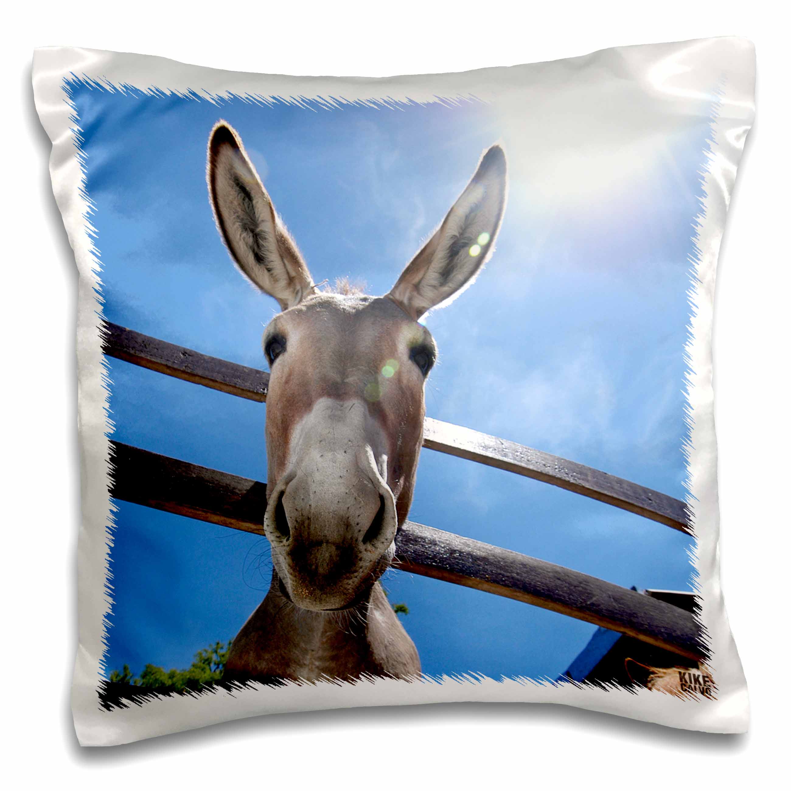 3dRose Kike Calvo Animals - Donkey in a farm - Pillow Cases (pc_9934)
