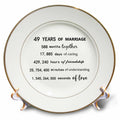 3dRose 49 Years of Marriage 49th Wedding Anniversary in months days hours - Plates (cp_321436)